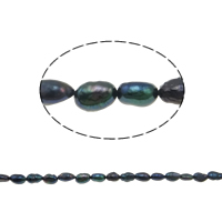 Perles nacres baroques de culture d'eau douce , perle d'eau douce cultivée, noire, grade A, 6-7mm, Trou:Environ 0.8mm, Vendu par 14.5 pouce brin