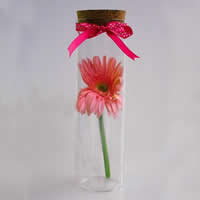 Glass Wish Bottle, with wood stopper & Satin Ribbon, Column, transparent, 65x220mm, 5PCs/Lot, Sold By Lot