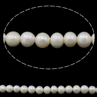 Brambor pěstované sladkovodní perle, Sladkovodní Pearl, přírodní, bílý, 9-10mm, Otvor:Cca 2mm, Prodáno za Cca 15 inch Strand