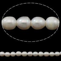 Perlas Arroz Freshwater, Perlas cultivadas de agua dulce, natural, Blanco, 11-12mm, agujero:aproximado 3mm, Vendido para aproximado 15 Inch Sarta