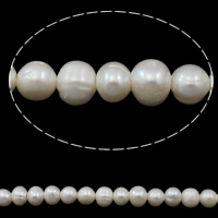 Brambor pěstované sladkovodní perle, Sladkovodní Pearl, přírodní, bílý, 9-10mm, Otvor:Cca 2mm, Prodáno za Cca 15.1 inch Strand