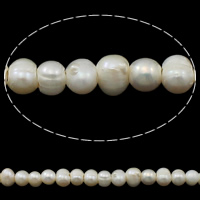 Perlas Patata Freshwater, Perlas cultivadas de agua dulce, natural, Blanco, 8-9mm, agujero:aproximado 2.5mm, Vendido para aproximado 12.2 Inch Sarta