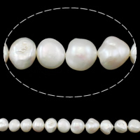 Perles nacres baroques de culture d'eau douce , perle d'eau douce cultivée, naturel, blanc, 12-13mm, Trou:Environ 0.8mm, Vendu par Environ 15.3 pouce brin