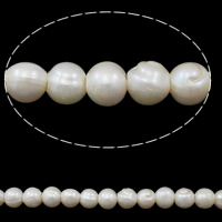 Perlas Patata Freshwater, Perlas cultivadas de agua dulce, natural, Blanco, 10-11mm, agujero:aproximado 2.5mm, Vendido para aproximado 14.3 Inch Sarta