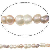 Cultured Baroque Freshwater Pearl Beads, Calabash, natural, mixed colors, 12-15mm, Hole:Approx 0.8mm, Sold Per Approx 15.7 Inch Strand