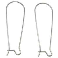 Stainless Steel Hook Earwire, 304 Stainless Steel, original color, 13.5x39x0.8mm, 1000PCs/Lot, Sold By Lot