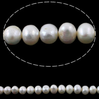 Perlas Redondas Freshwater, Perlas cultivadas de agua dulce, Patata, natural, Blanco, 10-11mm, agujero:aproximado 0.8mm, Vendido para aproximado 14 Inch Sarta