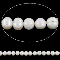 Perlas Redondas Freshwater, Perlas cultivadas de agua dulce, Patata, con rosca, Blanco, Grado A, 10-11mm, agujero:aproximado 0.8mm, Vendido para 14 Inch Sarta