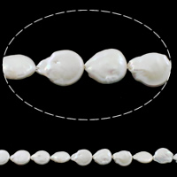 Cultured Coin Freshwater Pearl Beads, natural, white, 13-14mm, Hole:Approx 0.8mm, Sold Per Approx 15 Inch Strand