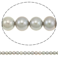 Perlas Redondas Freshwater, Perlas cultivadas de agua dulce, Esférico, plata-gris, 10-11mm, agujero:aproximado 0.8mm, Vendido para aproximado 15.7 Inch Sarta