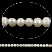 Perlas Patata Freshwater, Perlas cultivadas de agua dulce, natural, Blanco, 6-7mm, agujero:aproximado 0.8mm, Vendido para aproximado 14.2 Inch Sarta