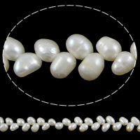 Perles d'eau douce de culture de riz, perle d'eau douce cultivée, blanc, grade A, 5-6mm, Trou:Environ 0.8mm, Vendu par 15 pouce brin