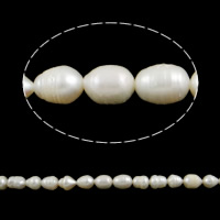 Perles d'eau douce de culture de riz, perle d'eau douce cultivée, naturel, blanc, grade A, 8-9mm, Trou:Environ 0.8mm, Vendu par 15 pouce brin