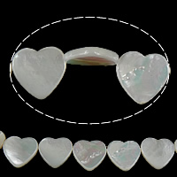 Perles en coquillage blanc naturel, coquille blanche, coeur, haut percé, 15x15x3mm, Trou:Environ 1mm, Longueur:Environ 15.5 pouce, 2Strandstoron/lot, Vendu par lot