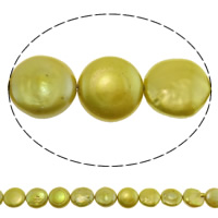 Бусины из искусственного пресноводного жемчуга в форме монеты, Пресноводные жемчуги, Плоская форма, золотисто-желтый, 13mm, отверстие:Приблизительно 0.8mm, Продан через Приблизительно 14.7 дюймовый Strand