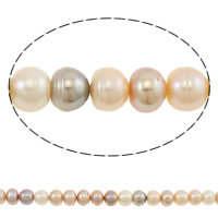 Knap ferskvandskulturperle Beads, Ferskvandsperle, Button, naturlig, flerfarvede, 10-11mm, Hole:Ca. 0.8mm, Solgt Per Ca. 15.7 inch Strand