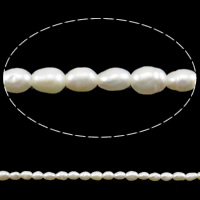 Perlas Arroz Freshwater, Perlas cultivadas de agua dulce, natural, Blanco, 2-3mm, agujero:aproximado 0.6mm, Vendido para aproximado 15 Inch Sarta