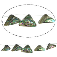 Abalone Shell Beads, Nuggets, 18-33.5x13-24x4-7mm, Hole:Approx 1mm, Length:Approx 15 Inch, 5Strands/Lot, Approx 15PCs/Strand, Sold By Lot