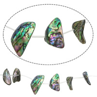Abalone Shell Beads, Nuggets, 5-7.5x15-16mm, Hole:Approx 1mm, Length:Approx 15 Inch, 10Strands/Lot, Approx 17PCs/Strand, Sold By Lot