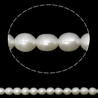 Perlas Arroz Freshwater, Perlas cultivadas de agua dulce, Blanco, Grado A, 4-5mm, agujero:aproximado 0.8mm, Vendido para aproximado 14.5 Inch Sarta