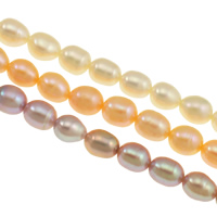 Riso coltivato in perla d'acqua dolce, perla d'acquadolce coltivata naturalmente, naturale, nessuno, Grade AA, 6-7mm, Foro:Appross. 0.8mm, Venduto per Appross. 16 pollice filo