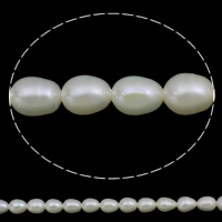 Riso coltivato in perla d'acqua dolce, perla d'acquadolce coltivata naturalmente, naturale, bianco, Grade AA, 5-6mm, Foro:Appross. 0.8mm, Venduto per Appross. 15 pollice filo