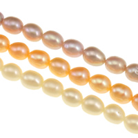 Riso coltivato in perla d'acqua dolce, perla d'acquadolce coltivata naturalmente, naturale, nessuno, AAA Grade, 5-5.5mm, Foro:Appross. 0.8mm, Venduto per Appross. 15 pollice filo