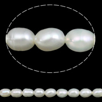 Riso coltivato in perla d'acqua dolce, perla d'acquadolce coltivata naturalmente, naturale, bianco, Grade AA, 5-6mm, Foro:Appross. 0.8mm, Venduto per Appross. 14.5 pollice filo