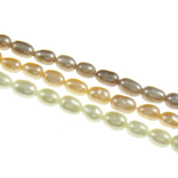 Cultured Rice Freshwater Pearl Beads natural Grade AA 3-3.5mm Approx 0.8mm Sold Per Approx 15 Inch Strand