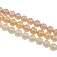 Cultured Round Freshwater Pearl Beads, natural, more colors for choice, Grade AA, 10-11mm, Hole:Approx 0.8mm, Sold Per Approx 15.7 Inch Strand