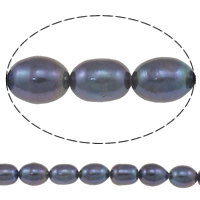Riso coltivato in perla d'acqua dolce, perla d'acquadolce coltivata naturalmente, viola scuro, Grade AA, 8-9mm, Foro:Appross. 0.8mm, Venduto per Appross. 15 pollice filo