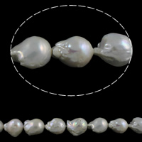 perle nucléée de culture d'eau douce goutte, baroque, naturel, blanc, Niveau AA, 13-15mm, Trou:Environ 0.8mm, Vendu par Environ 15.7 pouce brin