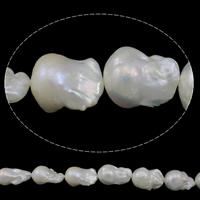 Perlas Cultivadas Nucleadas de Agua Dulce, Keishi, natural, Blanco, 15-18mm, agujero:aproximado 0.8mm, Vendido para aproximado 15.7 Inch Sarta