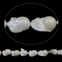 Cultured Freshwater Nucleated Pearl Beads, Keshi, natural, white, 18-20mm, Hole:Approx 0.8mm, Sold Per Approx 15.7 Inch Strand