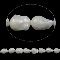 Cultured Freshwater Nucleated Pearl Beads, Keshi, natural, white, Grade AAA, 13-18mm, Hole:Approx 0.8mm, Sold Per Approx 15.7 Inch Strand