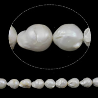 Perlas Cultivadas Nucleadas de Agua Dulce, Keishi, natural, Blanco, Grado AA, 15-18mm, agujero:aproximado 0.8mm, Vendido para aproximado 15.7 Inch Sarta