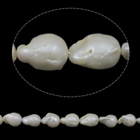 Cultured Freshwater Nucleated Pearl Beads, Keshi, natural, white, Grade AA, 13-15mm, Hole:Approx 0.8mm, Sold Per Approx 15.7 Inch Strand