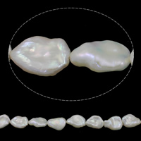 Keishi Kulturan Slatkovodni Pearl perle, prirodan, bijel, Razred AAA, 13-15mm, Rupa:Približno 0.8mm, Prodano Per Približno 15.7 inčni Strand