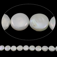 Pièce de culture des perles d'eau douce, perle d'eau douce cultivée, pièce de monnaie, naturel, blanc, grade AAA, 13-14mm, Trou:Environ 0.8mm, Vendu par Environ 15.3 pouce brin