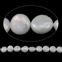 Coin Kulturan Slatkovodni Pearl perle, Novčić, prirodan, bijel, ocjena AA, 12-13mm, Rupa:Približno 0.8mm, Prodano Per Približno 15.3 inčni Strand