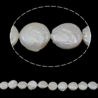 Coin ferskvandskulturperle Beads, Ferskvandsperle, naturlig, hvid, Grade AA, 13-14mm, Hole:Ca. 0.8mm, Solgt Per Ca. 15.3 inch Strand