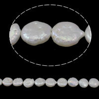 Moneta coltivate in acqua dolce Perla, perla d'acquadolce coltivata naturalmente, naturale, bianco, grado A, 11-12mm, Foro:Appross. 0.8mm, Venduto per Appross. 15.3 pollice filo