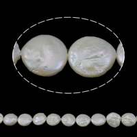 Grânulos pérolas de água doce cultivados da moeda, naturais, branco, Grade A, 13-15mm, Buraco:Aprox 0.8mm, vendido para Aprox 15.3 inchaltura Strand