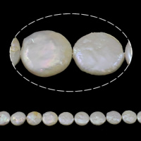 Coin Kulturan Slatkovodni Pearl perle, Novčić, prirodan, bijel, ocjena, 12-13mm, Rupa:Približno 0.8mm, Prodano Per Približno 15.3 inčni Strand