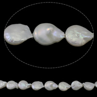 Pièce de culture des perles d'eau douce, perle d'eau douce cultivée, pièce de monnaie, naturel, blanc, grade A, 13-14mm, Trou:Environ 0.8mm, Vendu par Environ 15.3 pouce brin