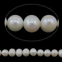 Potatis odlad sötvattenspärla pärlor, Freshwater Pearl, med troll, vit, Grade A, 9-10mm, Hål:Ca 0.8mm, Såld Per Ca 15 inch Strand