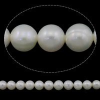 Perles nacres pommes de terre de culture d'eau douce, perle d'eau douce cultivée, pomme de terre, naturel, blanc, Niveau AA, 8-9mm, Trou:Environ 0.8mm, Vendu par Environ 15 pouce brin