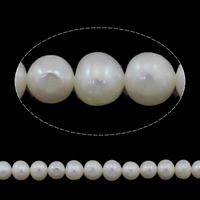Perles nacres pommes de terre de culture d'eau douce, perle d'eau douce cultivée, pomme de terre, naturel, blanc, grade AAA, 6-7mm, Trou:Environ 0.8mm, Vendu par Environ 15 pouce brin