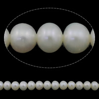 Knap ferskvandskulturperle Beads, Ferskvandsperle, Button, naturlig, hvid, Grade AAA, 6-7mm, Hole:Ca. 0.8mm, Solgt Per Ca. 15 inch Strand