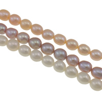 Rice ferskvandskulturperle Beads, Ferskvandsperle, Ris, naturlig, flere farver til valg, Grade AAA, 7-8mm, Hole:Ca. 0.8mm, Solgt Per Ca. 15 inch Strand
